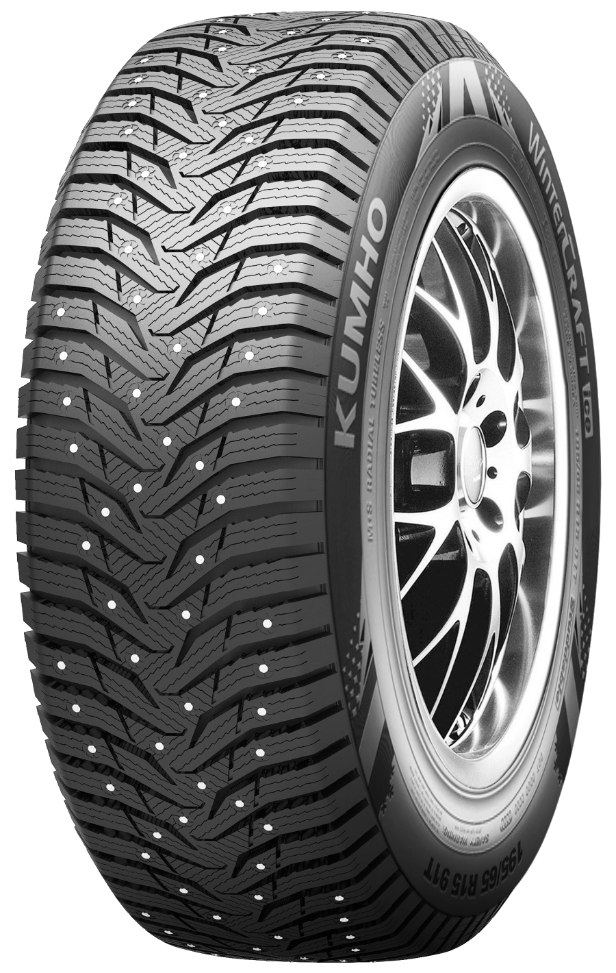 WinterCraft Ice WS31